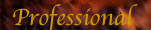 Professional
