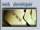 web developer