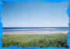 Plagedevant.jpg (69204 octets)