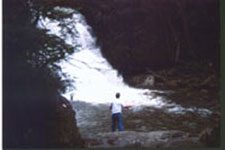 swallow falls