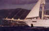 bvi04.jpg (46417 bytes)