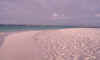 bvi13.jpg (46531 bytes)
