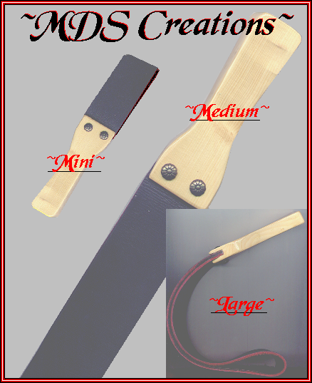 BeltPaddles.bmp(19999 bytes)