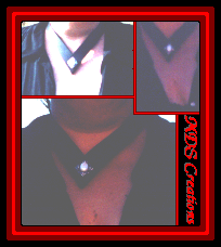 BlackLeatherGothNecklace.bmp(19941 bytes)