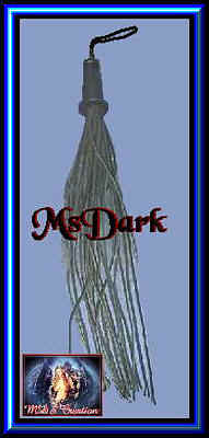 blackleatherflogger.jpeg (20076 bytes)