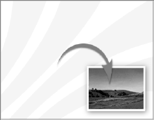 album2009001.gif