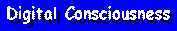 Digital Consciousness