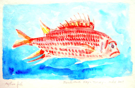 Acquerello - Watercolor <<< BACK