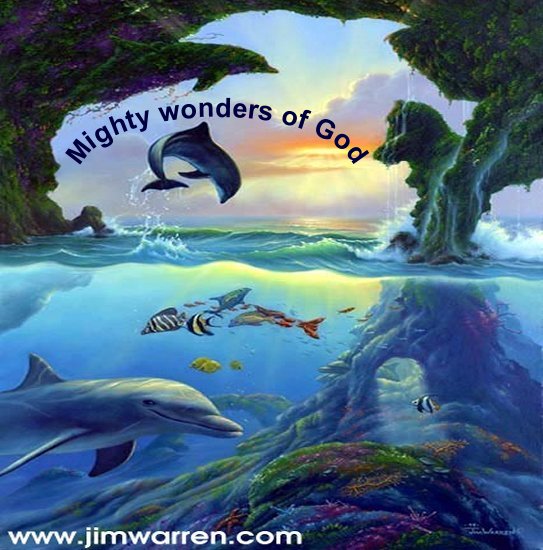 God's Wonders