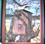 bird house at early spring, ugly tree until leaves grow