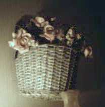 blue basket, peach color roses