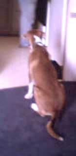 Second day home and I know where the people food is!