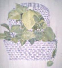 ivy kitchen plant, background in painting is close to what appears in my home