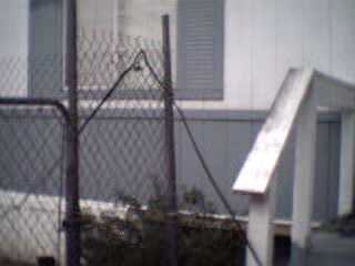 line on fence by bedroom window