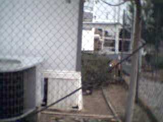 south side of mobile home, bedroom wall