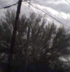 storm brought line down