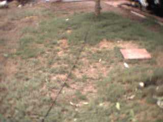 line down mid front yard 7/14/02