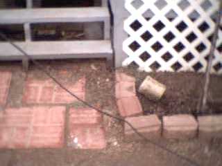 line down by but not on front steps