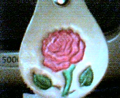 red rose with red tipped thorns