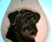 rottie, rottweiler key chain