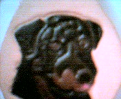 rottie key chain closer view of pic