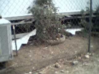 another view of skirting blown down