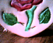thorns close up