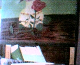 flower reflections on bookcase