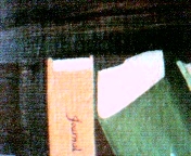 shaded book binding, detail of curved bookcase wall