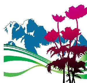 International album cover