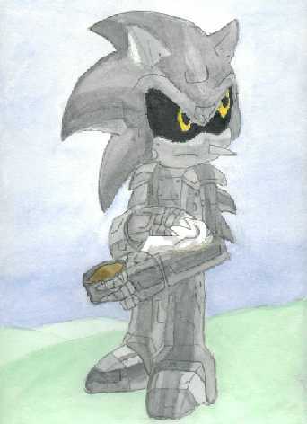 silverhedgehog2