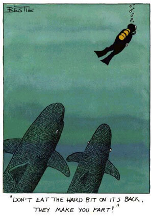 "N�o coma a parte dura nas costas, ela d� gases!"