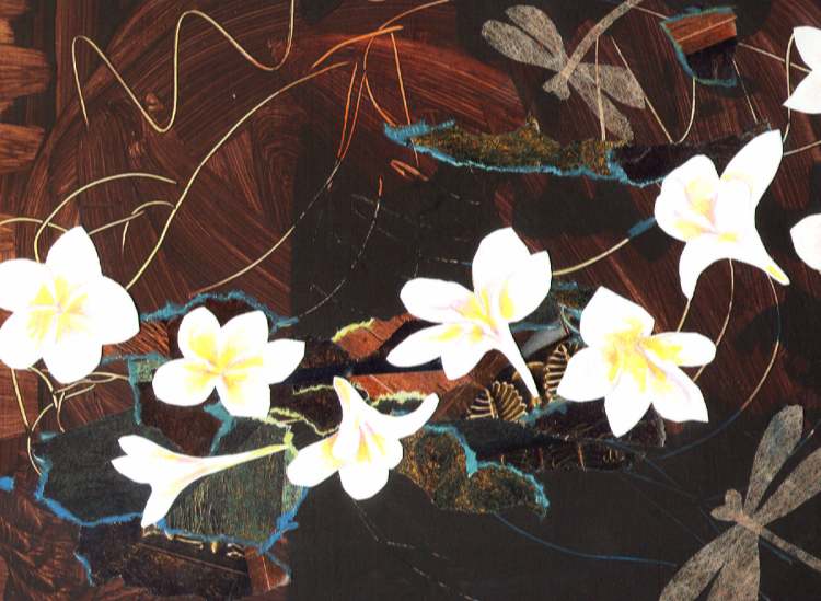 frangipani swirl