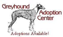 Greyhound Adoption Center