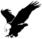 Screaming Eagle