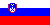 Slovenska verzija