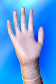 Vinyl Gloves