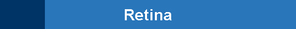 Retina