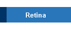Retina