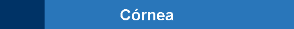 C�rnea