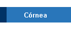 C�rnea