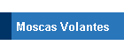 Moscas Volantes