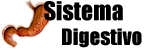 Sistema Digestivo