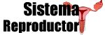 Sistema Reproductor