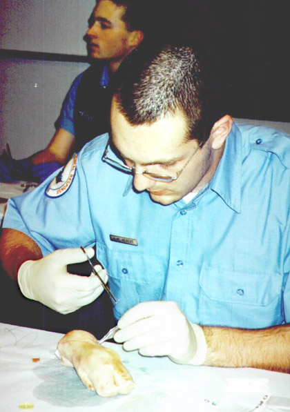 stitches 6