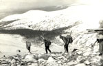 Descent of main Ural ridge