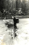 The ferry on the logs thrown on ice