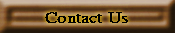 Contact Information