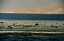 Sharm4.JPG