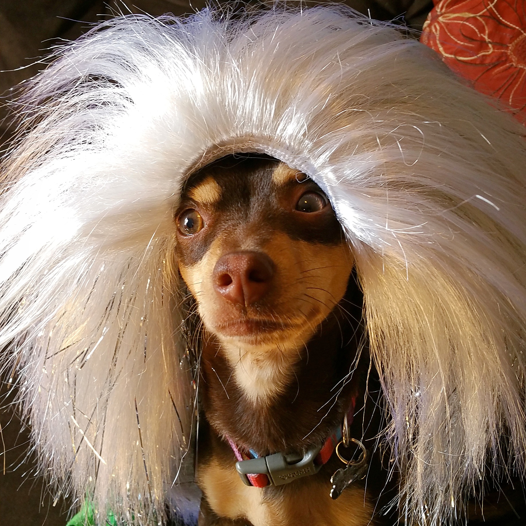 Mona in her wig.